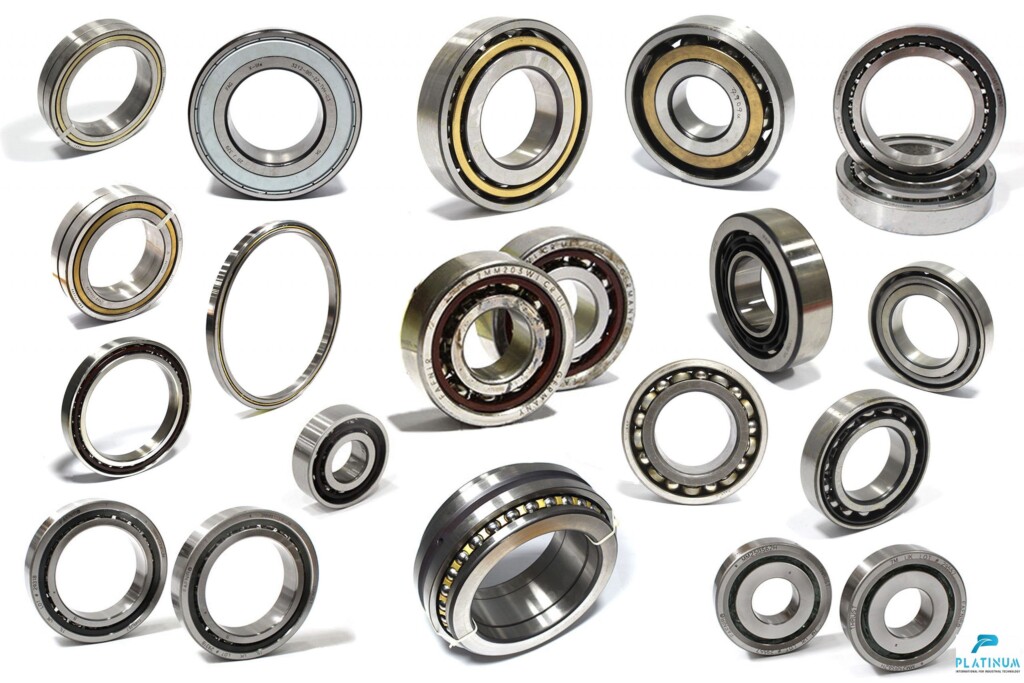 SKF TSN 513 S Housing Seal