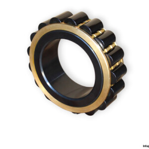 fag-F-618735.RZLN-WP0-SATZ-double-row-cylindrical-roller-bearing-(new)