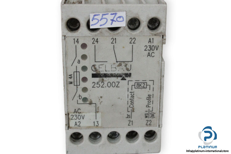 gelbau-252.00Z-safety-relay-used-3