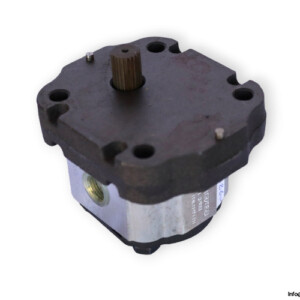 ot-OT100P11-D_GXX-gear-pump-(new)