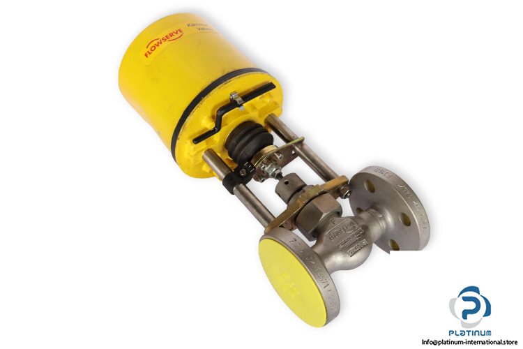 flowserve-0300E2-globe-valve-(new)