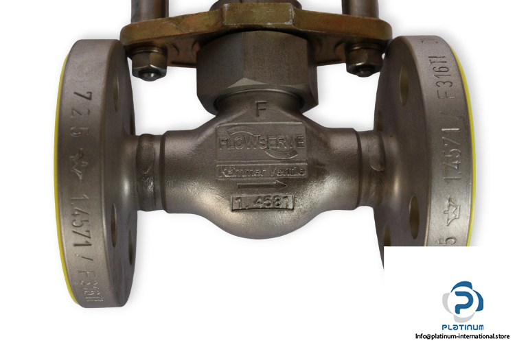 flowserve-0300E2-globe-valve-(new)-1