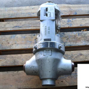 Flowserve ZK313-D/12 Control Valve