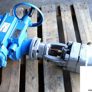 Pentair 70057238/200/2 Control Valve