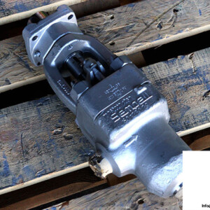 Pentair 70062220/250 Control Valve