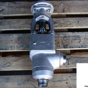 Pentair 70062220 /350 Control Valve