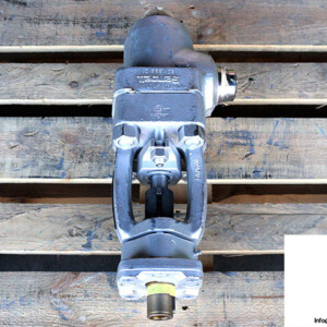 Pentair 70065948/101 Control Valve