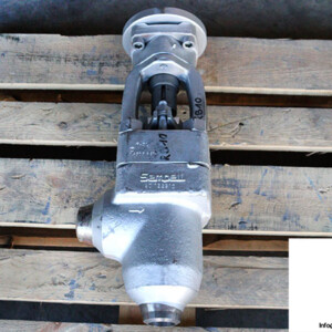 Sempell 70055208/100/2 Control Valve
