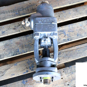 Sempell 70078143/100 Control Valve
