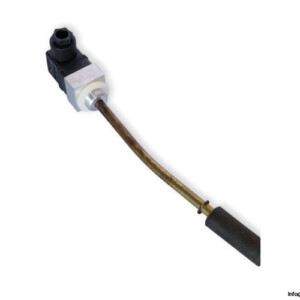 Bieri 47080-N Flow Switch