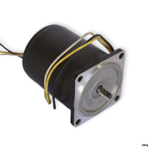 Sesame Motor 2RK6GN-CE Reversible Motor
