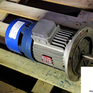 Coel F100LA4 Brake Motor