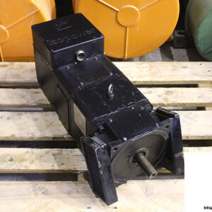 berriola-EKAIN-dc-motor