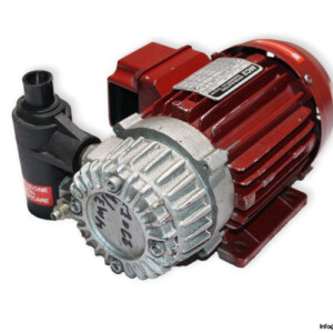 Vuototecnica VTS4 Vacuum Pump