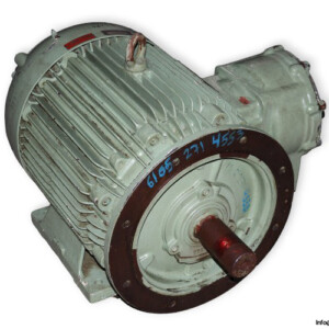 ercolemarelli-comoponenti-NVE-225-DS-4-3-phase-electric-motor-used