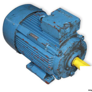 FELTEN & GUILLEAUME EED 132SX2 3 PHASE ELECTRIC MOTOR