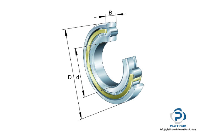 fag-n317-m-bl-cylindrical-roller-bearing-2