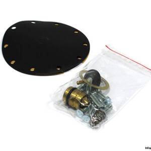Norgren-11-809-081-repair-kit