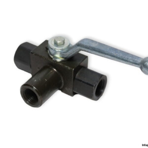 Rotelmann St/Pom/N Ball Valve