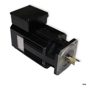 Magnetic BLQ 63 S 30 2001 Servo Motor