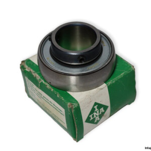 INA GAY30-NPP-B Insert Ball Bearing