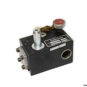 Leistritz L 10 Check Valve
