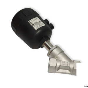 Burkert 2002 A 25.0 Ptfe VA G1 Angle Seat Valve