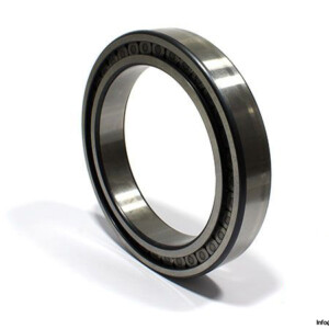 ina-SL-18-2932-B-C3-cylindrical-roller-bearing