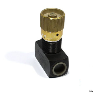 FT257_2-34 flow-control-valve
