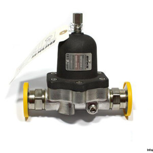 binks-107757-S-S-back-pressure-regulator