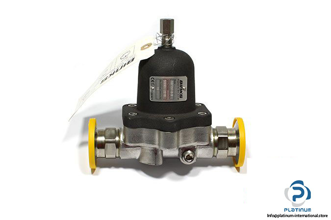 binks-107757-S-S-back-pressure-regulator
