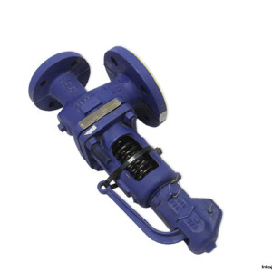 ARI Armaturen 902 Full Lift Safety Valve