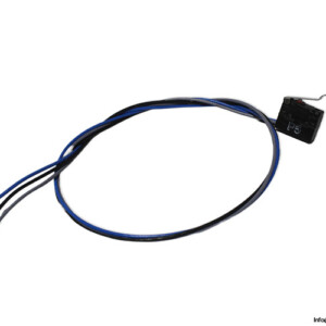burgess-050-18-S-lever-limit-switch-(new)