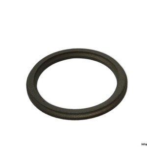 Voith 2200 Captive Glyd Ring KIT