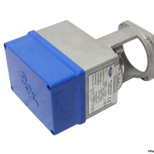 RAY Egelhof R31 Electric Actuator