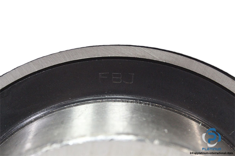 fbj-UCP215-48-pillow-block-ball-bearing-unit(new)-4
