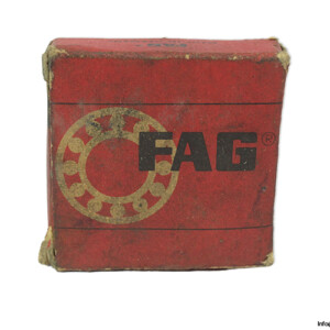 FAG N 205 Cylindrical Roller Bearing