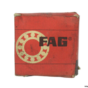 FAG NU 305 Cylindrical Roller Bearing
