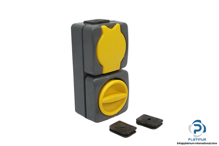 berker-4246-socket-outlet-(New)