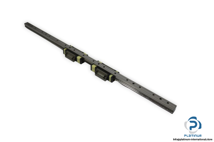 nsk-LY250900EMG2G03K64-linear-guideway-block-(new).jpg