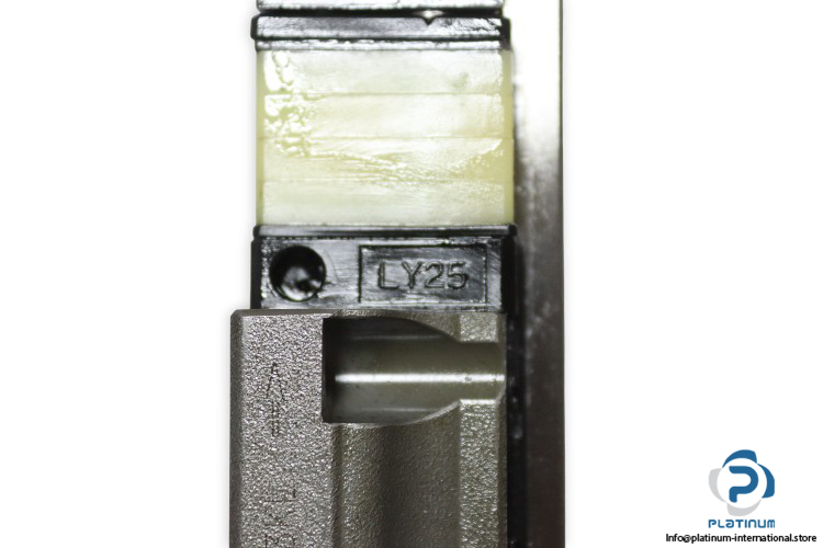 nsk-LY250900EMG2G03K64-linear-guideway-block-(new)-4.jpg
