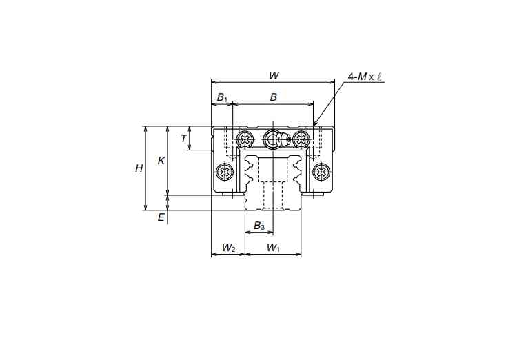 nsk-LY250900EMG2G03K64-linear-guideway-block-(new)-7.jpg