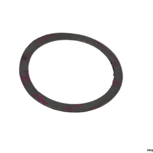 KSB 00125194 Sealing Ring