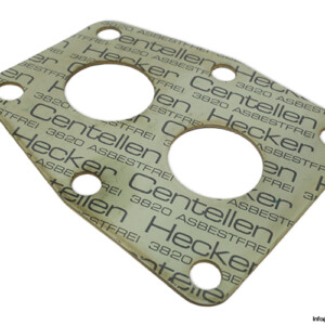 334-020-02-A-10-flat-gasket(new).jpg
