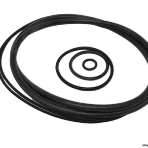 BAR 62910038 Seal KIT