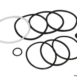 Hydronorma 314 058 Seal KIT