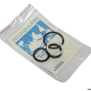 Hydronorma 314 390 Seal KIT