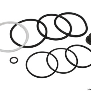 Hydronorma 314 056 Seal KIT