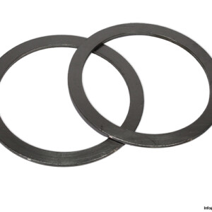 siemens-206012654-000500-seal-ring(new).jpg