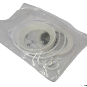 pentair-MCF06371180-seal-kit-(New).jpg